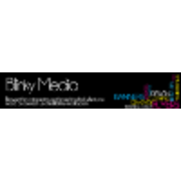 Blinky Group Ltd logo, Blinky Group Ltd contact details