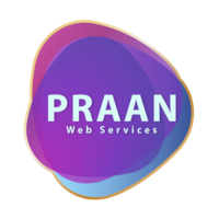 Praan Web Services logo, Praan Web Services contact details