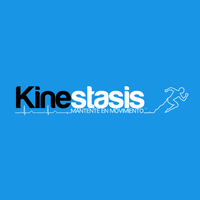 Kinestasis Chile logo, Kinestasis Chile contact details