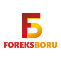 Foreks Boru logo, Foreks Boru contact details