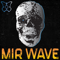 Mir Wave logo, Mir Wave contact details