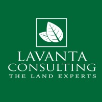 Lavanta Consulting logo, Lavanta Consulting contact details