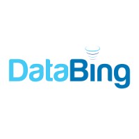 DataBing logo, DataBing contact details