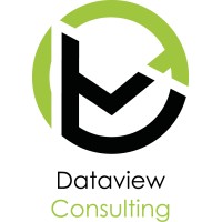 Dataview Consulting logo, Dataview Consulting contact details