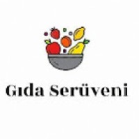 Gıda Serüveni logo, Gıda Serüveni contact details