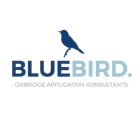 BlueBird Consultants logo, BlueBird Consultants contact details