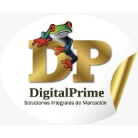 DigitalPrime logo, DigitalPrime contact details