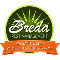 Breda Pest Management logo, Breda Pest Management contact details