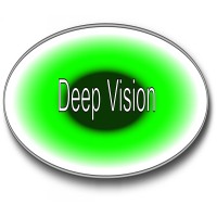 Deep Vision Inc. logo, Deep Vision Inc. contact details