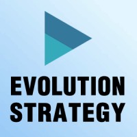 Evolution Strategy - Gestão de informações logo, Evolution Strategy - Gestão de informações contact details