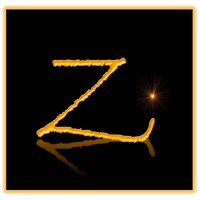 Zenzero Investments LLC logo, Zenzero Investments LLC contact details