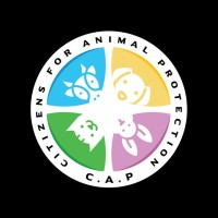 Citizens For Animal Protection Foundation logo, Citizens For Animal Protection Foundation contact details