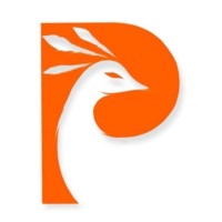 Phoenix Accounting Services Ltd. logo, Phoenix Accounting Services Ltd. contact details