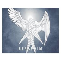 Seraphim Capital Management logo, Seraphim Capital Management contact details