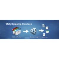 Web Scraping | Email Scraping Services logo, Web Scraping | Email Scraping Services contact details