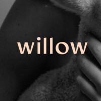 Willow Creative Co logo, Willow Creative Co contact details