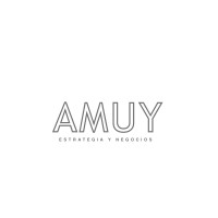 AMUY SpA logo, AMUY SpA contact details