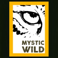 Mystic Wild Private Limited logo, Mystic Wild Private Limited contact details