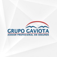 Grupo Gaviota logo, Grupo Gaviota contact details