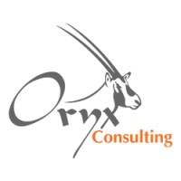 Oryx Consulting FZE logo, Oryx Consulting FZE contact details