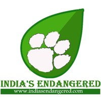 India's Endangered logo, India's Endangered contact details