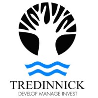 Tredinnick Property (Pty) Ltd logo, Tredinnick Property (Pty) Ltd contact details