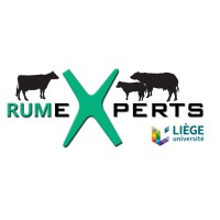 RumeXperts logo, RumeXperts contact details