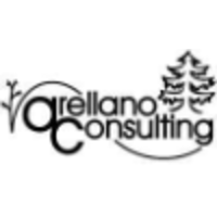 Arellano Consulting logo, Arellano Consulting contact details