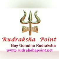 rudrakshapoint.net logo, rudrakshapoint.net contact details