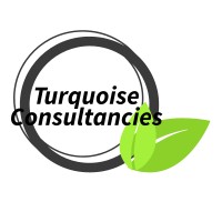 Turquoise Consultancy Services logo, Turquoise Consultancy Services contact details