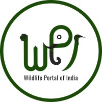 Wildlife Portal of India logo, Wildlife Portal of India contact details