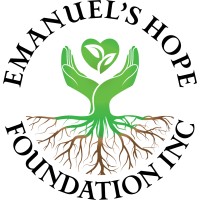 Emanuel's Hope Foundation Inc. logo, Emanuel's Hope Foundation Inc. contact details