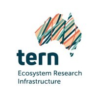 TERN Australia logo, TERN Australia contact details