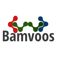 Bamvoos International logo, Bamvoos International contact details