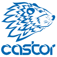 Castor - Sindicatos e Associações logo, Castor - Sindicatos e Associações contact details