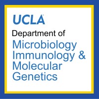 UCLA Department of Microbiology, Immunology and Molecular Genetics logo, UCLA Department of Microbiology, Immunology and Molecular Genetics contact details