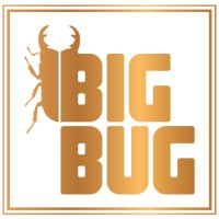 BIGBUG LLC logo, BIGBUG LLC contact details