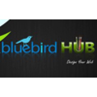 Bluebird Hub Pte Ltd logo, Bluebird Hub Pte Ltd contact details