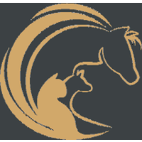 Desert Moon Animal Massage logo, Desert Moon Animal Massage contact details