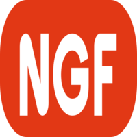 NGF-Software logo, NGF-Software contact details