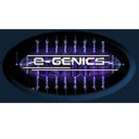 eGenics Consulting Services logo, eGenics Consulting Services contact details