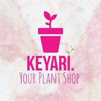 KEYARI.PK logo, KEYARI.PK contact details