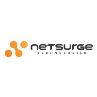 Netsurge Technologies logo, Netsurge Technologies contact details