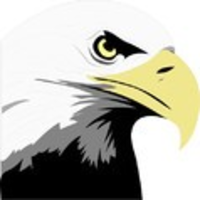 Eagle Strategic Services LLC logo, Eagle Strategic Services LLC contact details