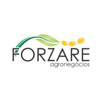 Forzare Agronegócios logo, Forzare Agronegócios contact details