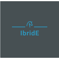 IbridE Consulting logo, IbridE Consulting contact details