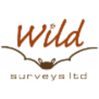 Wild Surveys Limited logo, Wild Surveys Limited contact details