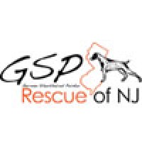 German Shorthaired Pointer (GSP) Rescue of NJ logo, German Shorthaired Pointer (GSP) Rescue of NJ contact details