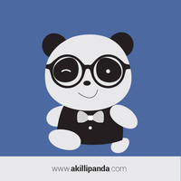 akillipanda.com logo, akillipanda.com contact details