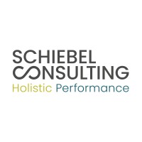 Schiebel Consulting logo, Schiebel Consulting contact details